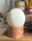 Marbled Ostrich Egg Lamp